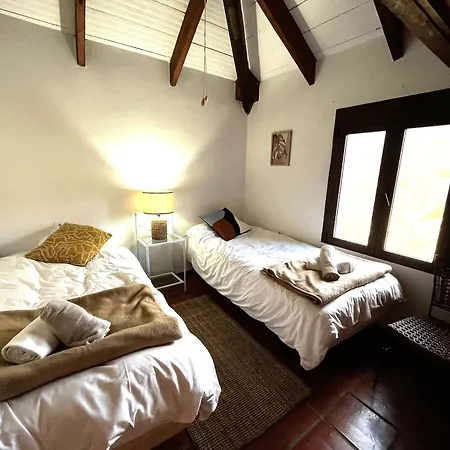 Trompetilla & Casa Cactus Luxury Wellness With Pool, Yoga & Hammam For 20p In Montes De 40 Min To Villa