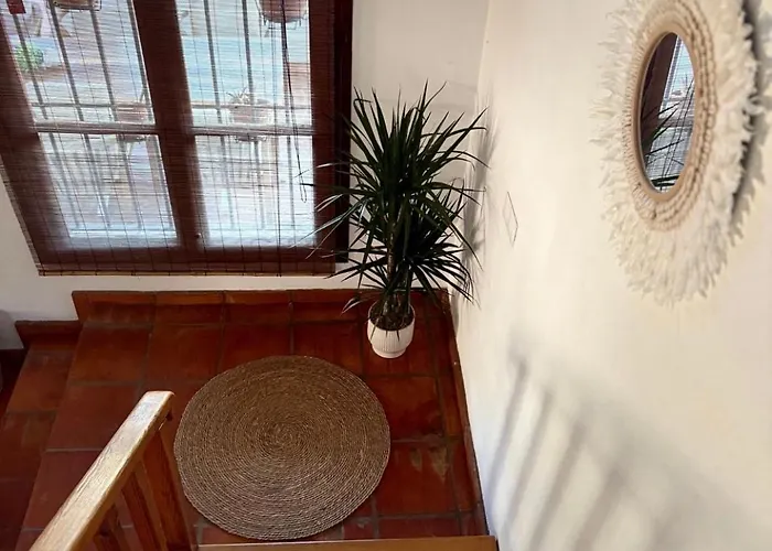 Trompetilla & Casa Cactus Luxury Wellness With Pool, Yoga & Hammam For 20p In Montes De 40 Min To Villa